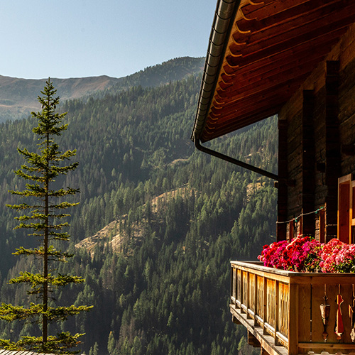 Cabin View